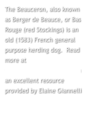 The Beauceron, also known as Berger de Beauce, or Bas Rouge (red Stockings) is an old (1583) French general purpose herding dog.  Read more at www.aboutbeaucerons.com  an excellent resource provided by Elaine Giannelli
