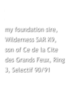Mavrick des Ombres ,Valeureux my foundation sire, Wilderness SAR K9, son of Ce de la Cite des Grands Feux, Ring 3, Selectif 90/91
