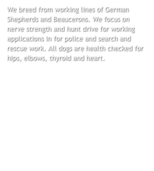 We breed from working lines of German Shepherds and Beaucerons. We focus on nerve strength and hunt drive for working applications in for police and search and rescue work. All dogs are health checked for hips, elbows, thyroid and heart.




read more ->